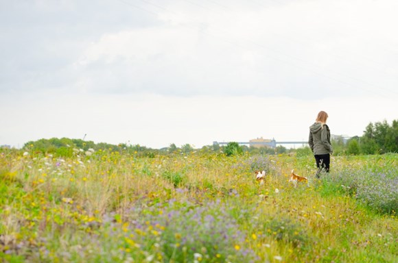 Campaigners call on government to halt development on SSSI