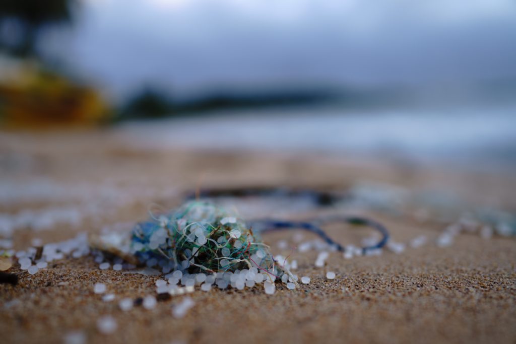 Project will remove microplastics from SSSI