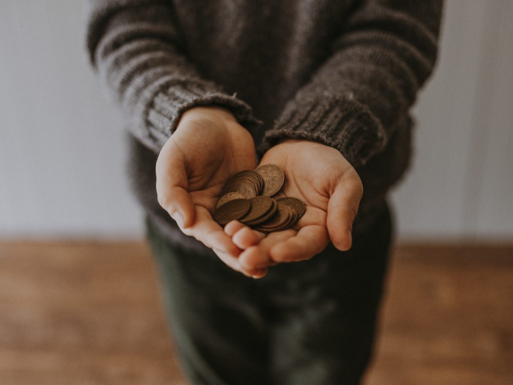 Feature: Our misunderstanding of public money may result in environmental catastrophe