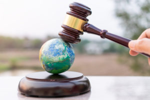 Feature: Our right to a healthy environment