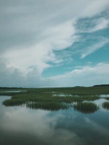 Rewet dried wetlands to save 100bn tons of CO2