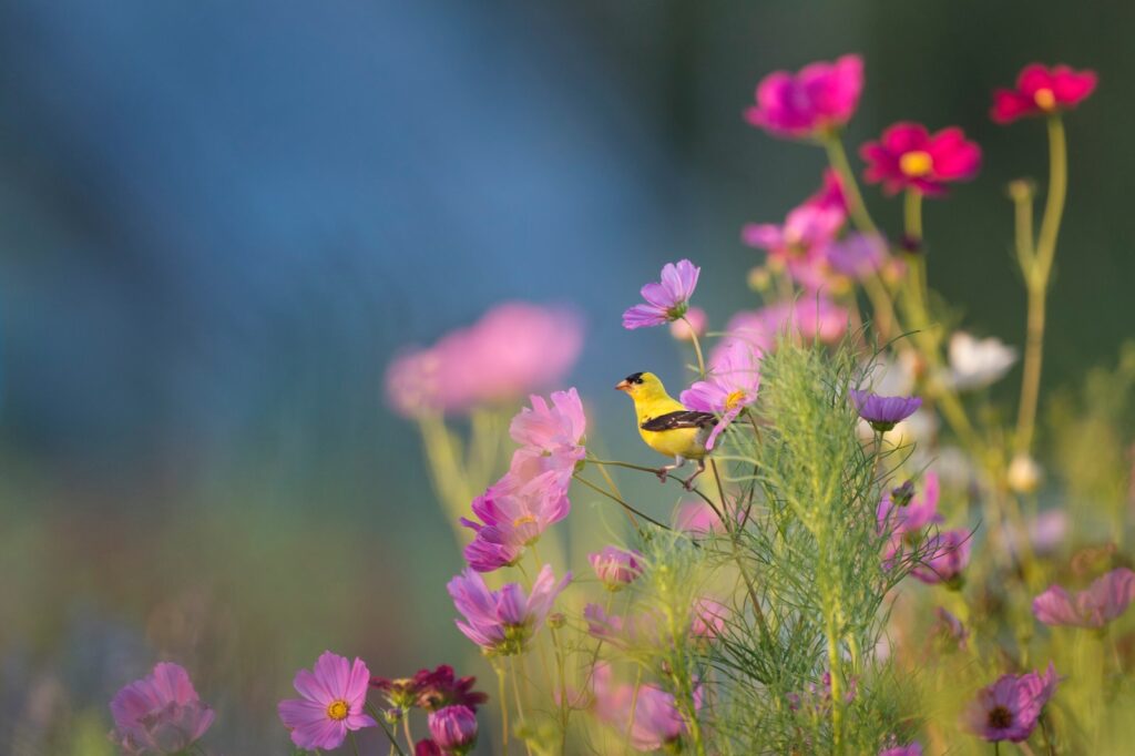 Nottingham volunteers pioneer herbicide-free street management