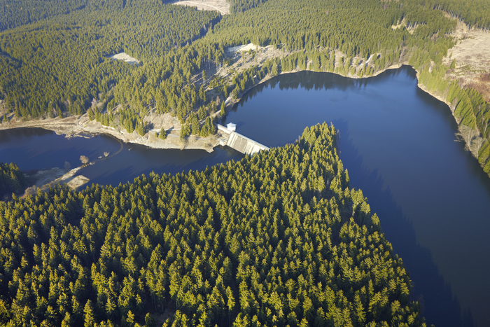 Climate crisis impacting drinking water quality as forests die
