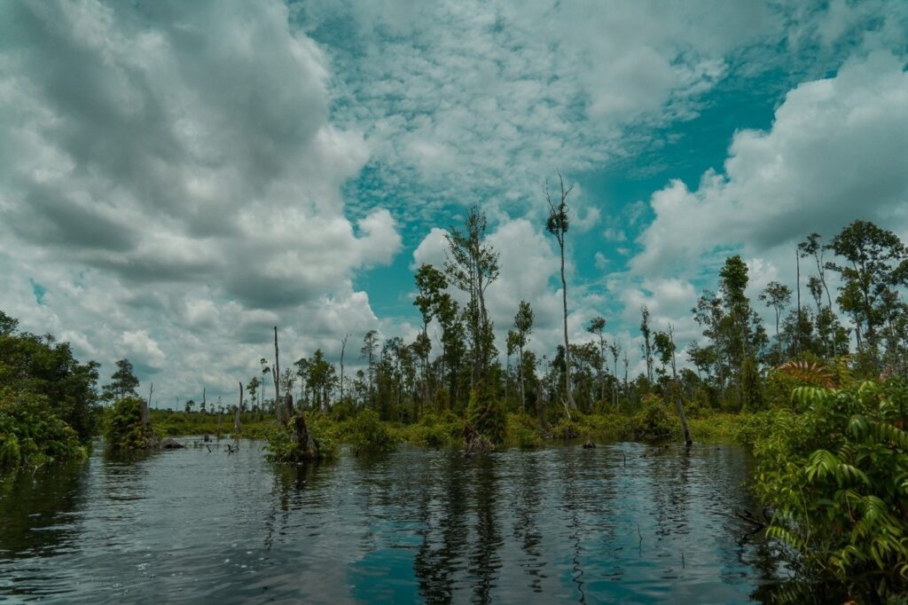 Ad: What’s causing wildfires and how to build resistance