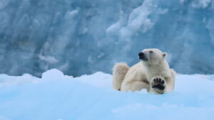 B.I.G. North Pole Expedition launches schools competition