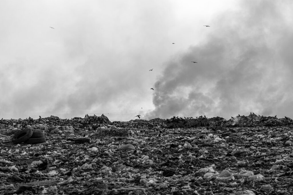 Persistent Organic Pollutants: Why UK POPs regulations don’t go far enough
