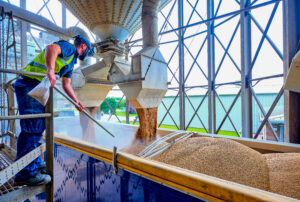 Scotch whisky set for sustainable energy overhaul