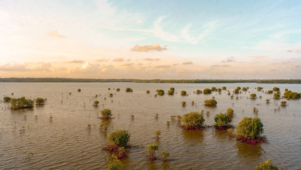 Meteorological reporting is an essential economic tool