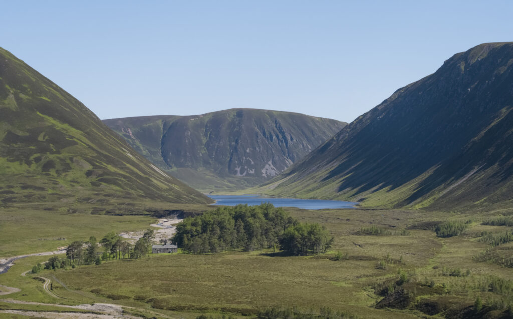 100 year, 18,500 acre Scottish rewilding project looks for partners